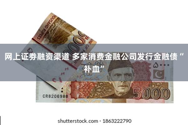 网上证劵融资渠道 多家消费金融公司发行金融债“补血”