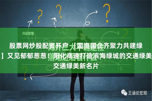 股票网炒股配资开户 【国资国企齐聚力　共建绿美广东】又见郁郁葱葱！阳化高速打造滨海绿城的交通绿美新名片