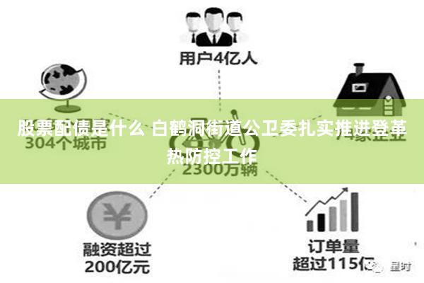 股票配债是什么 白鹤洞街道公卫委扎实推进登革热防控工作