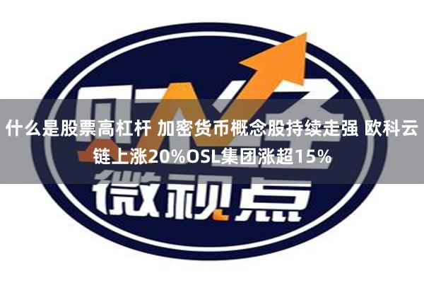 什么是股票高杠杆 加密货币概念股持续走强 欧科云链上涨20%OSL集团涨超15%