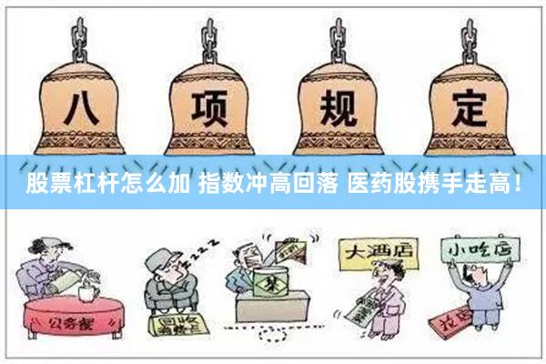 股票杠杆怎么加 指数冲高回落 医药股携手走高！