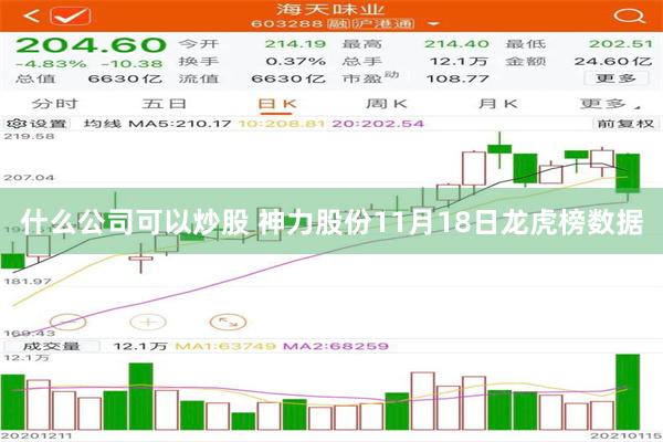 什么公司可以炒股 神力股份11月18日龙虎榜数据