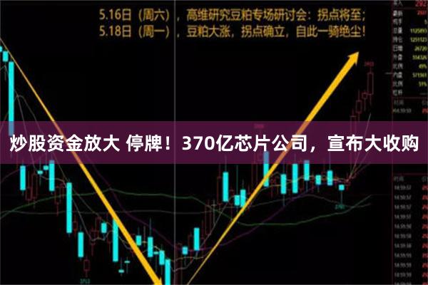 炒股资金放大 停牌！370亿芯片公司，宣布大收购