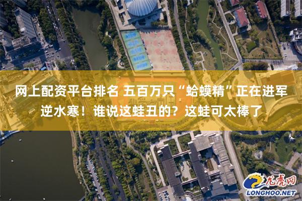 网上配资平台排名 五百万只“蛤蟆精”正在进军逆水寒！谁说这蛙丑的？这蛙可太棒了