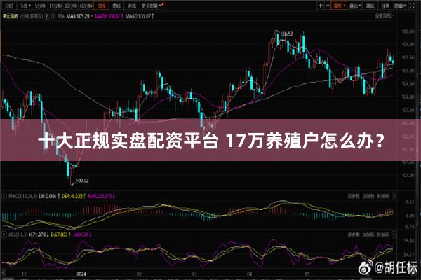 十大正规实盘配资平台 17万养殖户怎么办？