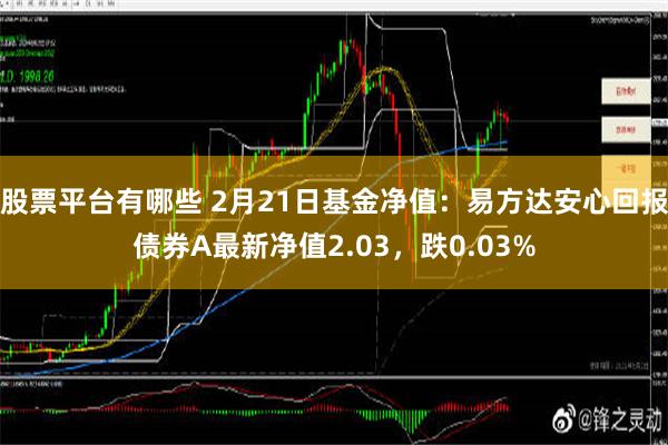 股票平台有哪些 2月21日基金净值：易方达安心回报债券A最新净值2.03，跌0.03%