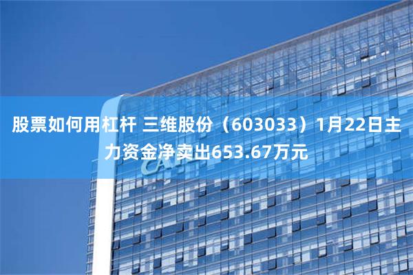 股票如何用杠杆 三维股份（603033）1月22日主力资金净卖出653.67万元